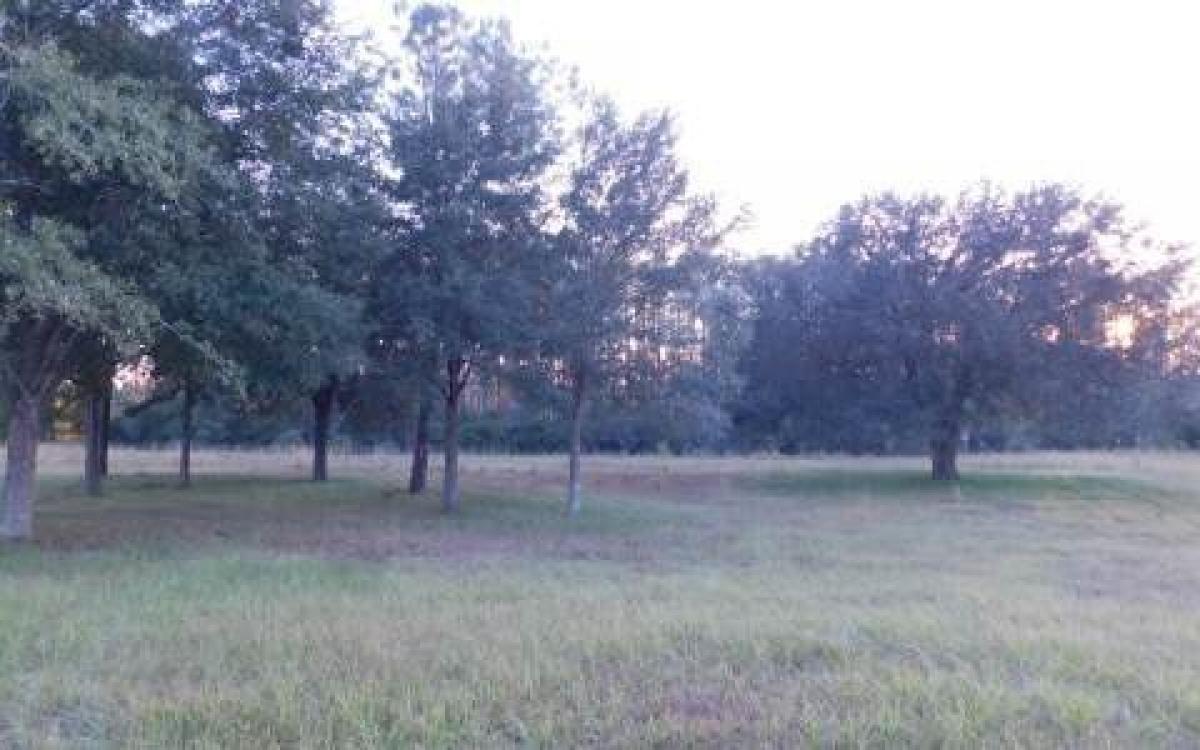 Picture of Residential Land For Sale in Lake City, Florida, United States