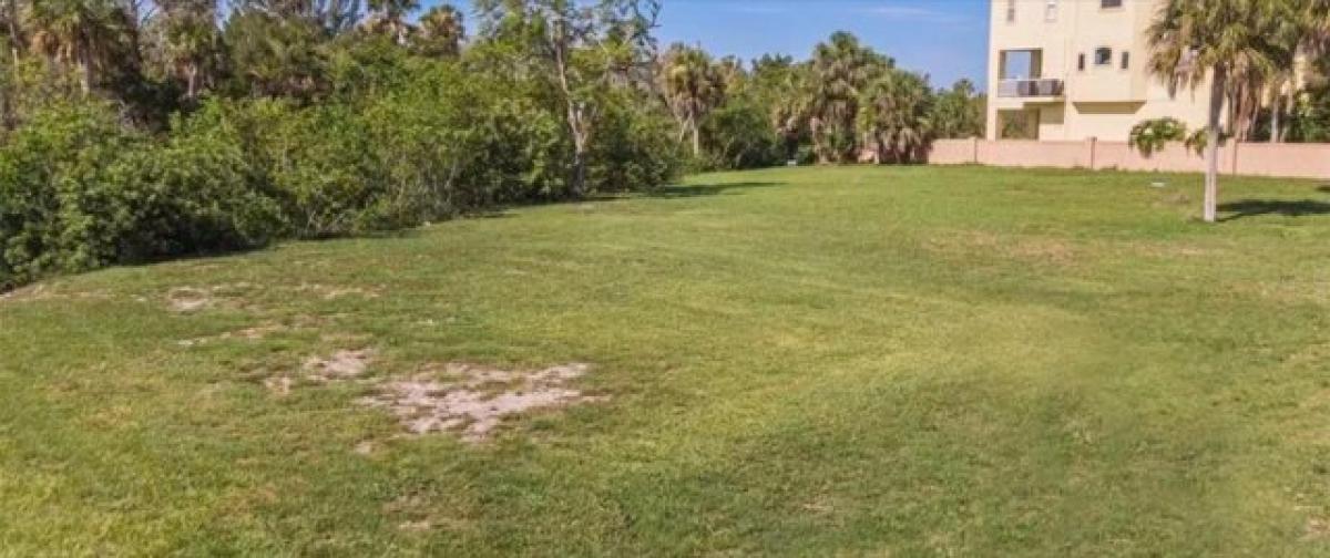 Picture of Residential Land For Sale in Port Richey, Florida, United States