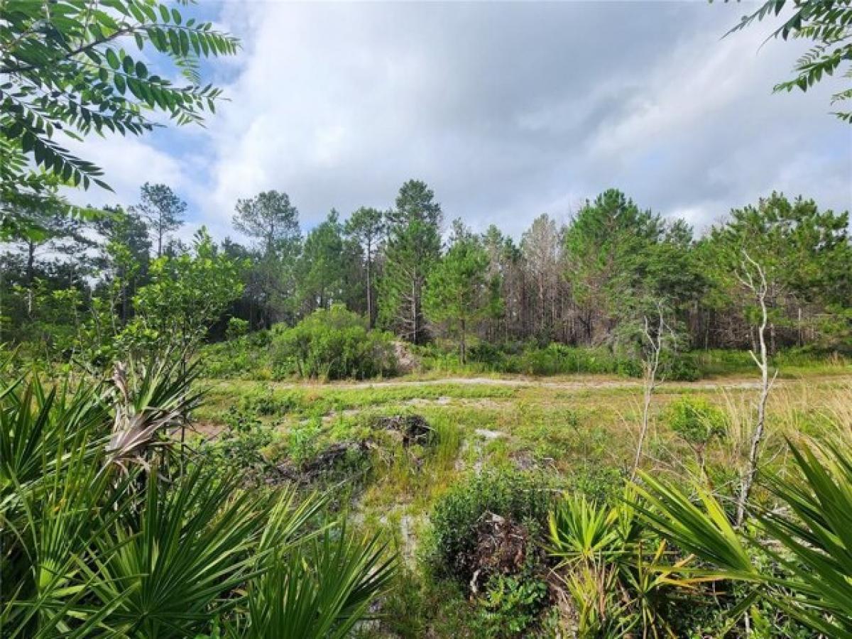 Picture of Residential Land For Sale in Ocklawaha, Florida, United States