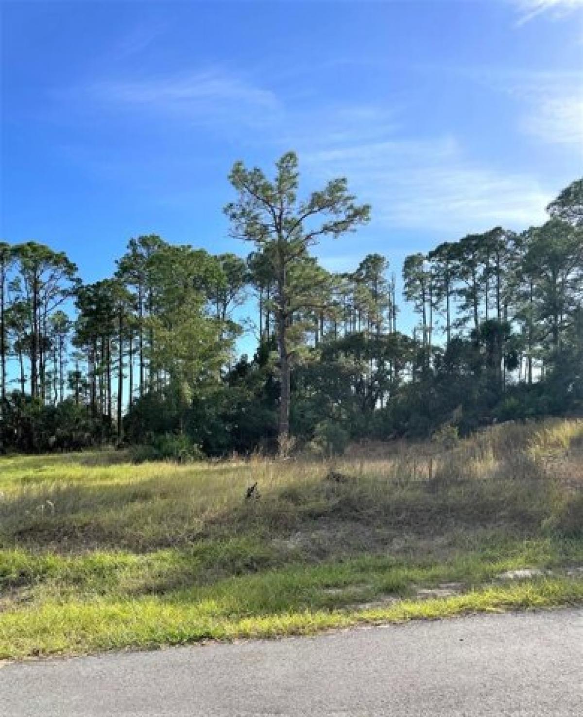 Picture of Residential Land For Sale in Port Saint Joe, Florida, United States