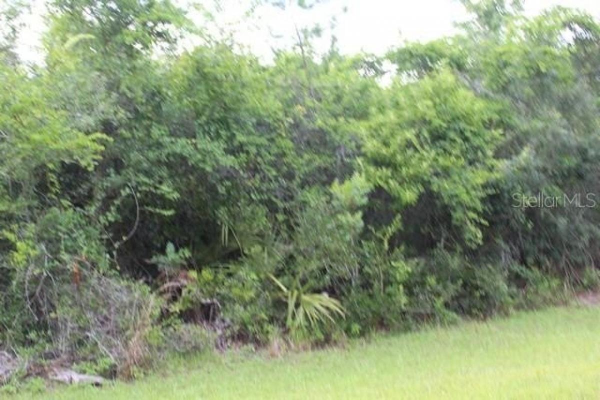 Picture of Residential Land For Sale in Fort Mccoy, Florida, United States