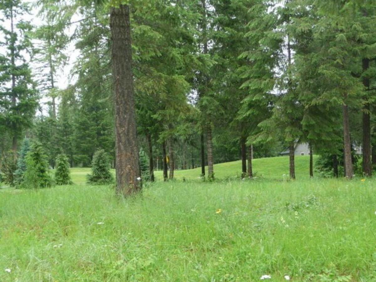 Picture of Residential Land For Sale in Chewelah, Washington, United States