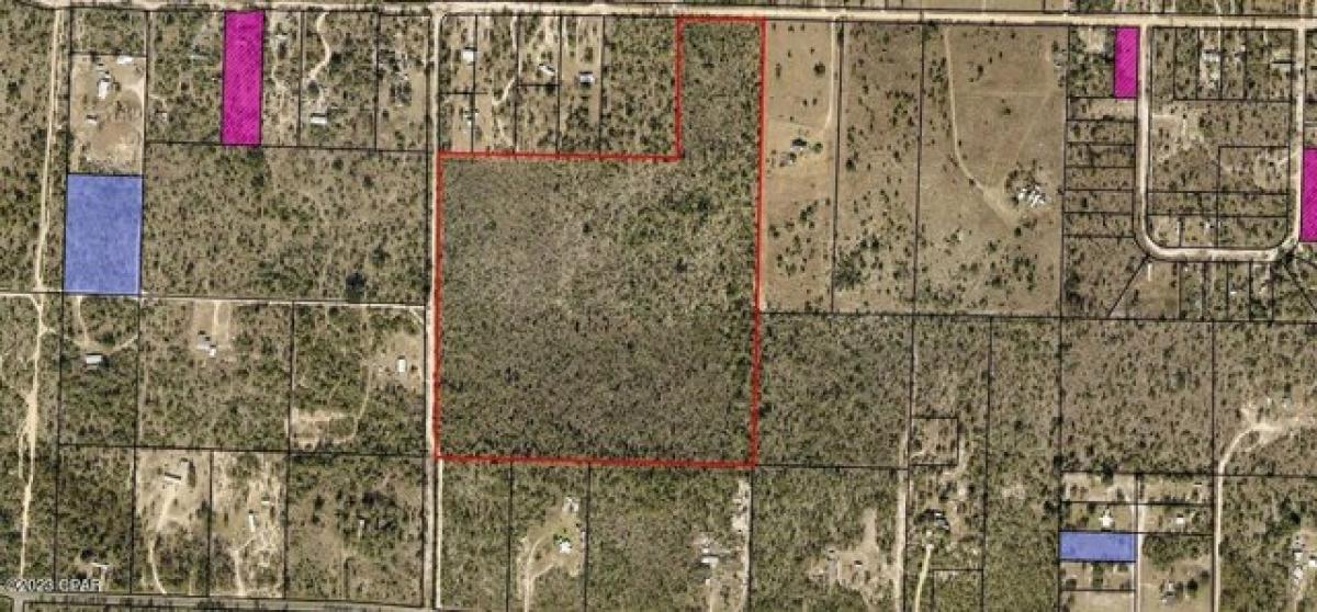 Picture of Residential Land For Sale in Fountain, Florida, United States