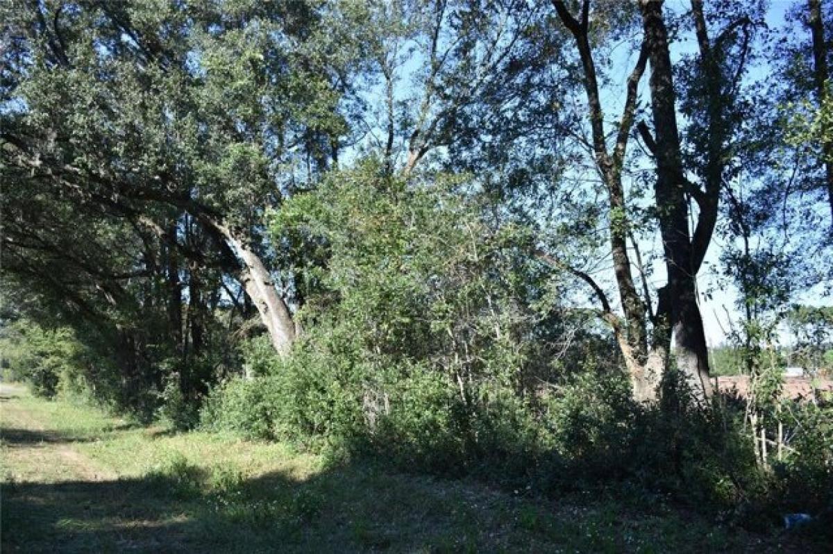 Picture of Residential Land For Sale in Archer, Florida, United States