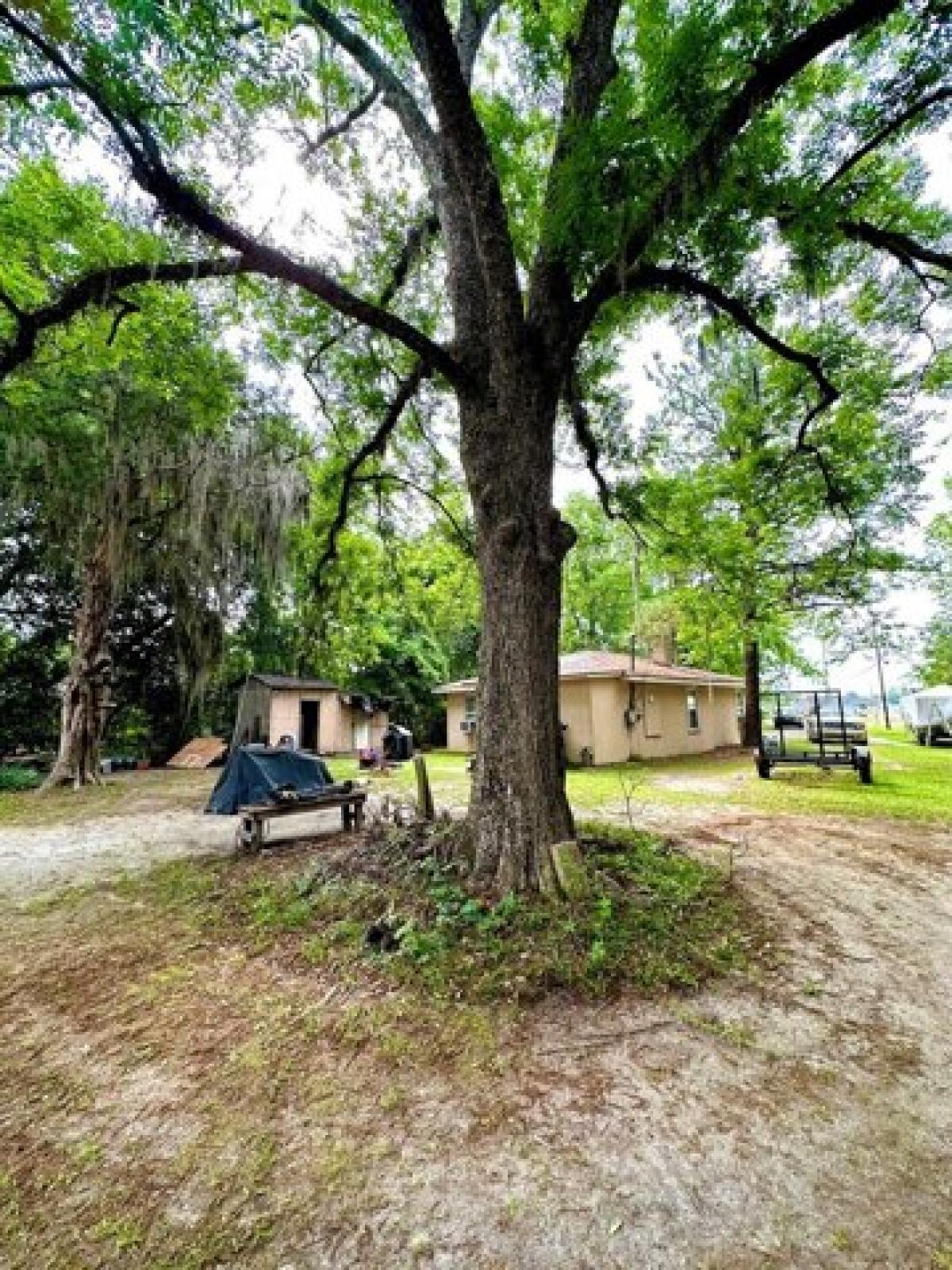 Picture of Home For Sale in Lake City, South Carolina, United States