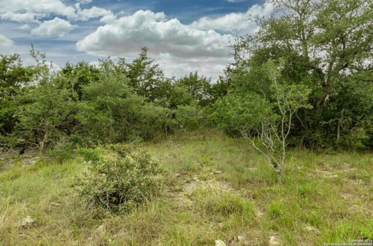 Picture of Residential Land For Sale in New Braunfels, Texas, United States