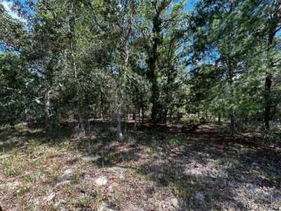 Residential Land For Sale in Homosassa, Florida