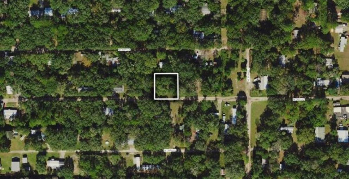 Picture of Residential Land For Sale in Silver Springs, Florida, United States