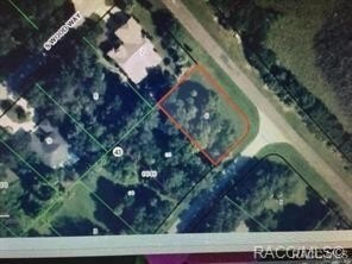 Picture of Residential Land For Sale in Homosassa, Florida, United States