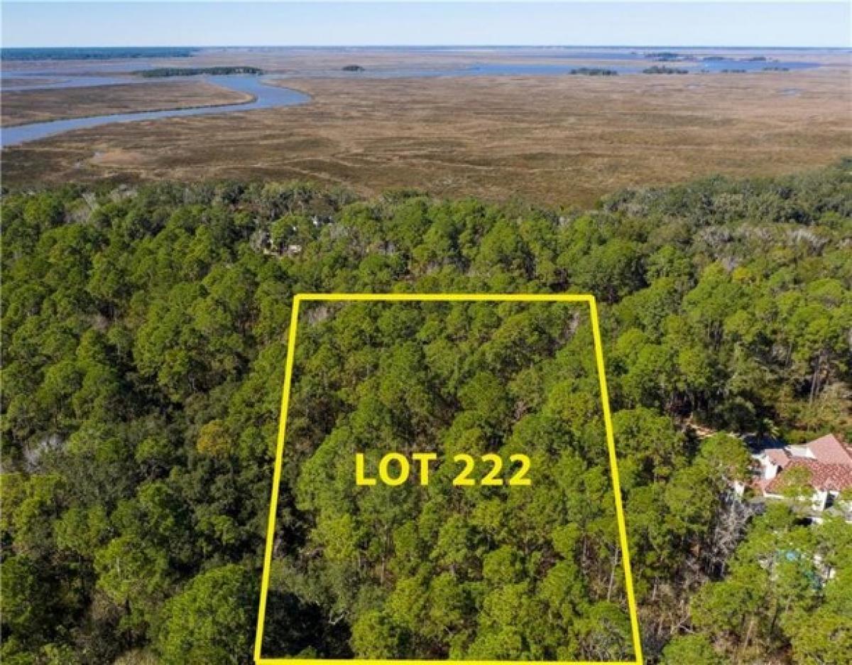 Picture of Residential Land For Sale in Saint Simons Island, Georgia, United States