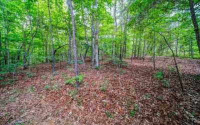 Residential Land For Sale in Talking Rock, Georgia