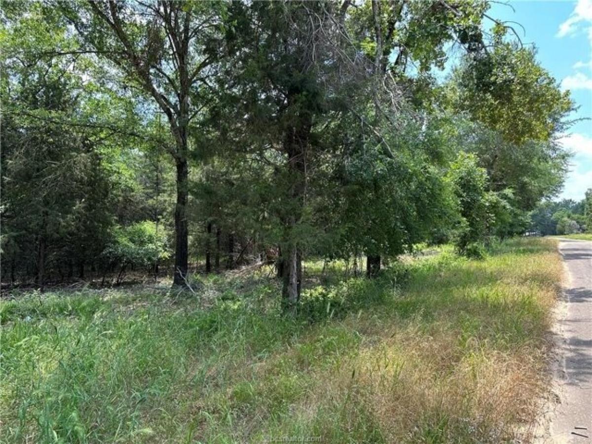 Picture of Residential Land For Sale in Fairfield, Texas, United States
