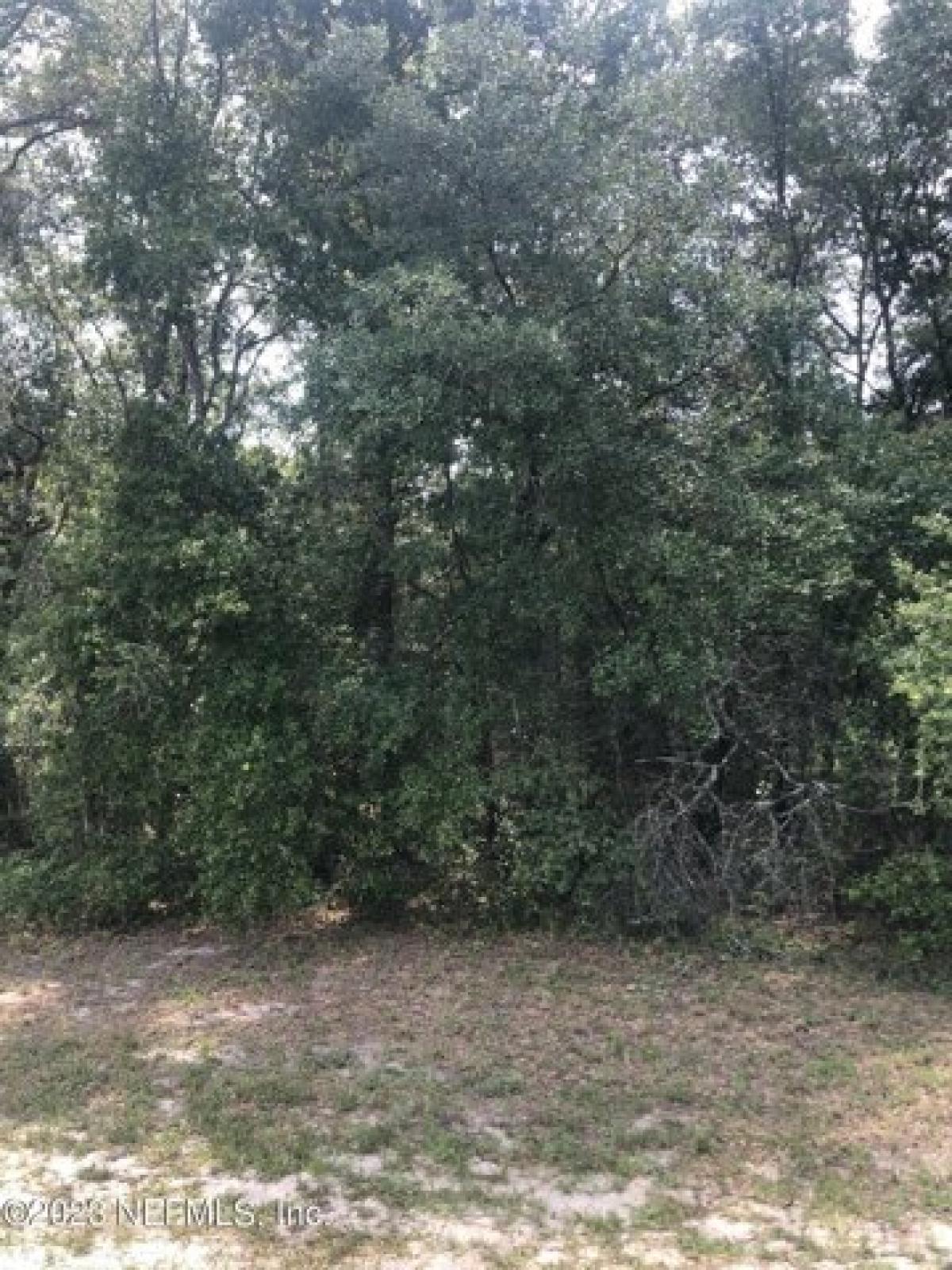 Picture of Residential Land For Sale in Keystone Heights, Florida, United States