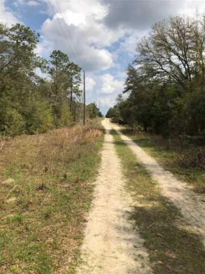 Residential Land For Sale in Williston, Florida