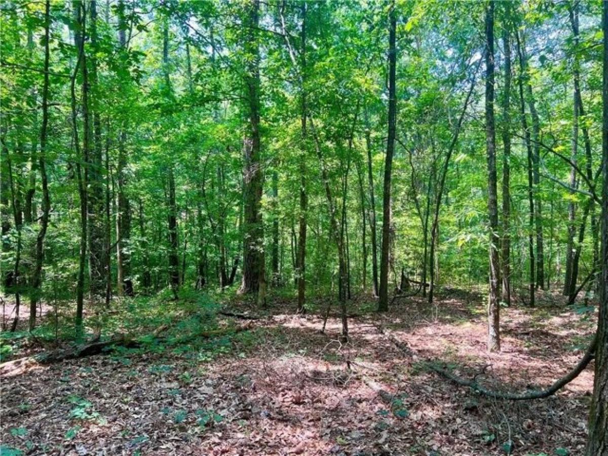 Picture of Residential Land For Sale in Waterloo, South Carolina, United States