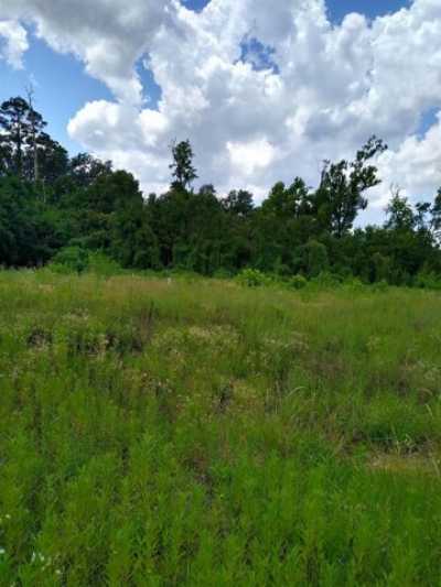 Residential Land For Sale in Tallahassee, Florida