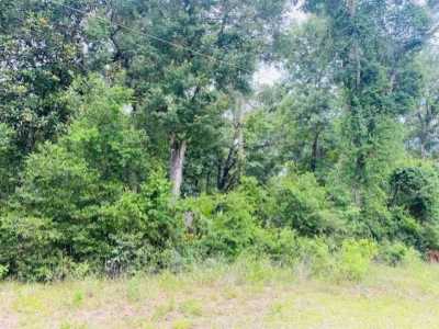 Residential Land For Sale in Cross City, Florida