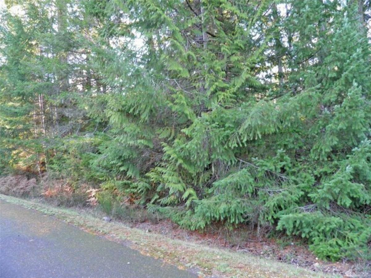 Picture of Residential Land For Sale in Brinnon, Washington, United States