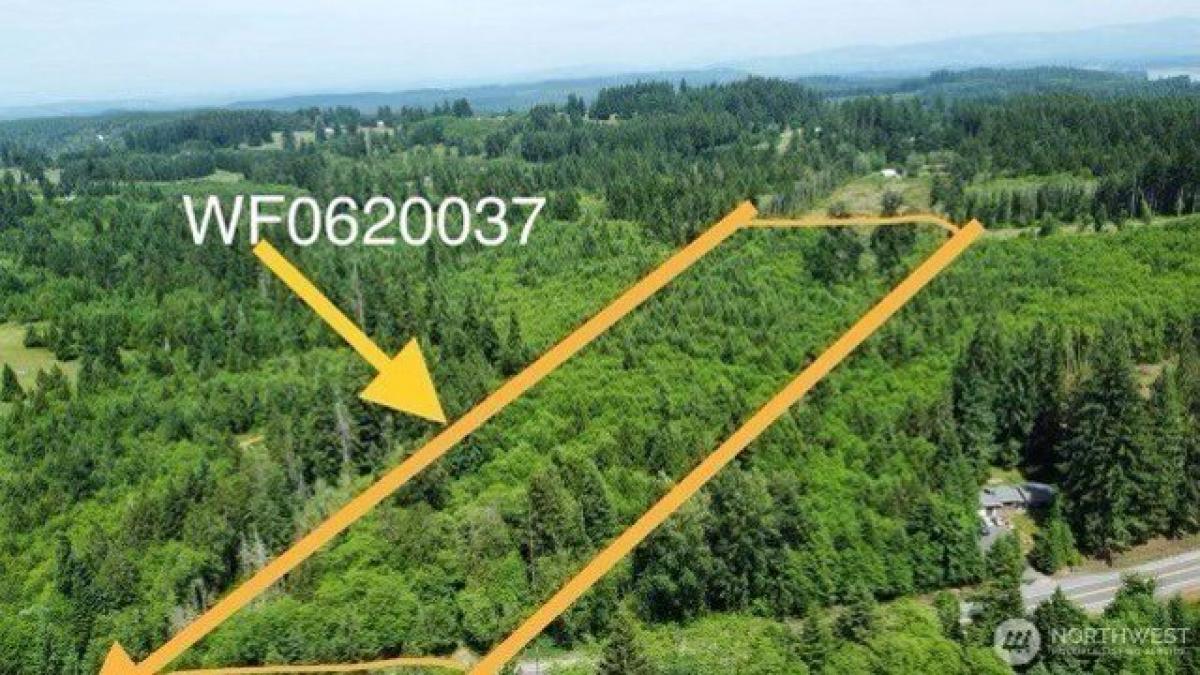 Picture of Residential Land For Sale in Castle Rock, Washington, United States