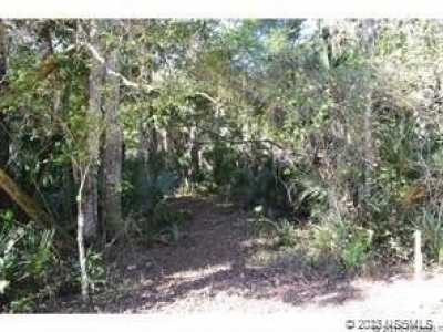 Residential Land For Sale in New Smyrna Beach, Florida