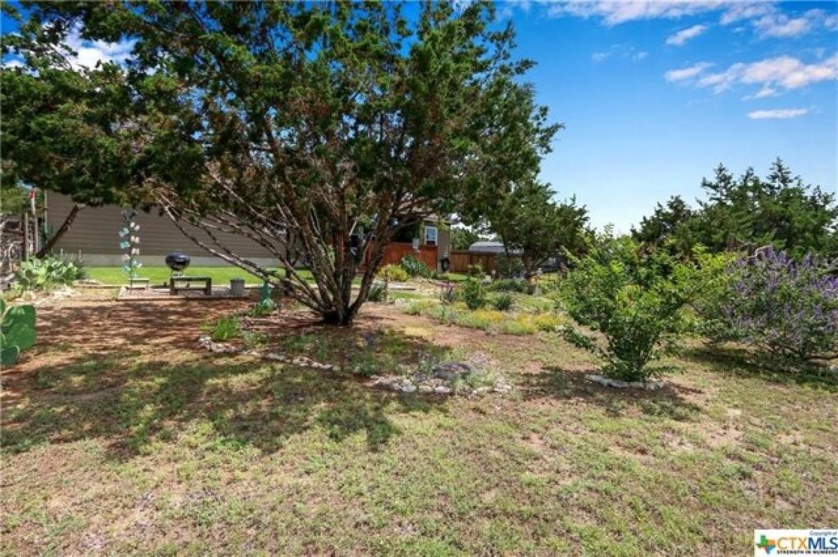 Picture of Home For Sale in Fischer, Texas, United States