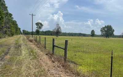 Residential Land For Sale in Lake City, Florida