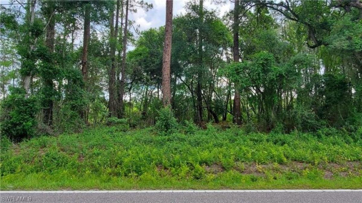 Picture of Residential Land For Sale in Webster, Florida, United States