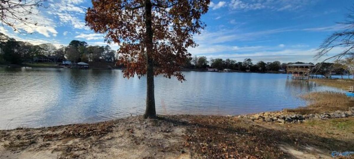 Picture of Residential Land For Sale in Centre, Alabama, United States