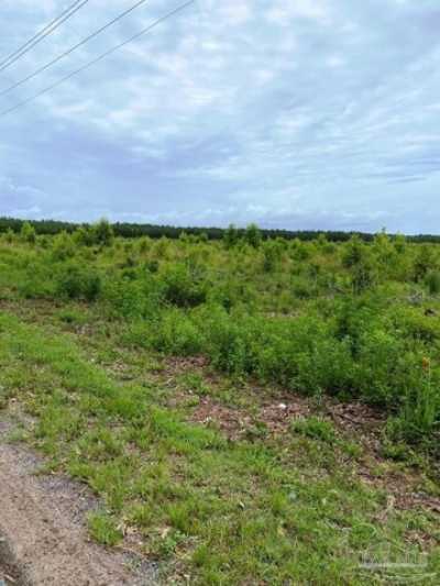 Residential Land For Sale in Milton, Florida