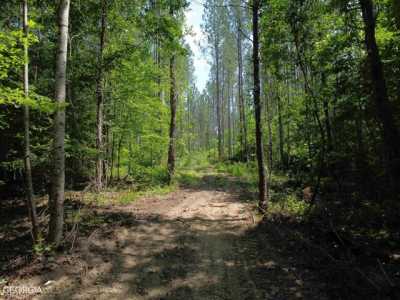 Residential Land For Sale in Monticello, Georgia