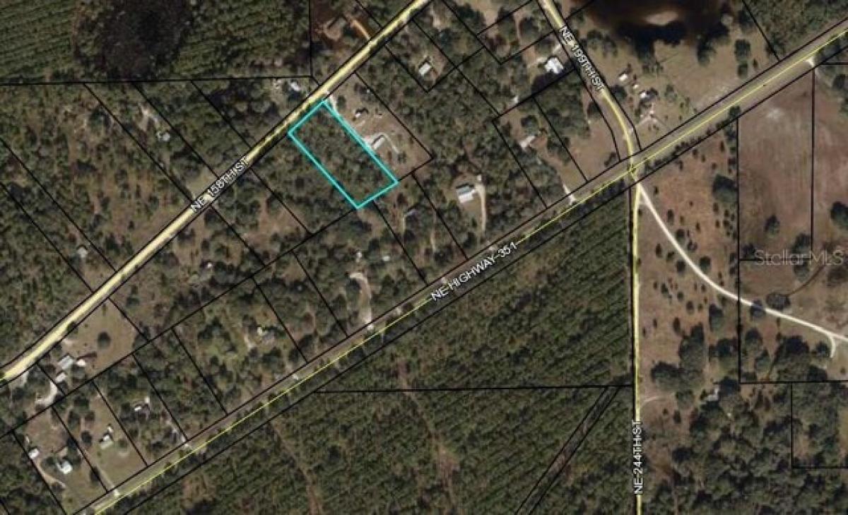 Picture of Residential Land For Sale in Cross City, Florida, United States