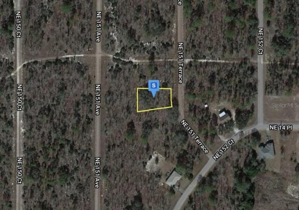 Picture of Residential Land For Sale in Williston, Florida, United States