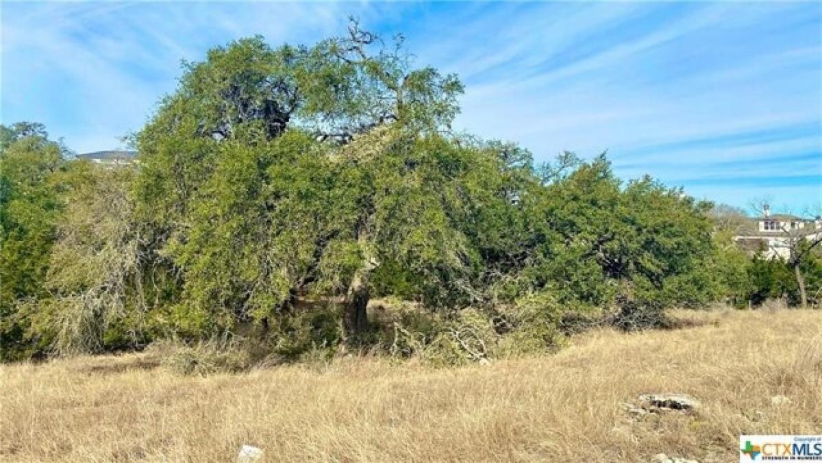 Picture of Residential Land For Sale in New Braunfels, Texas, United States