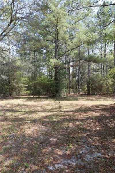 Residential Land For Sale in Lake City, Florida