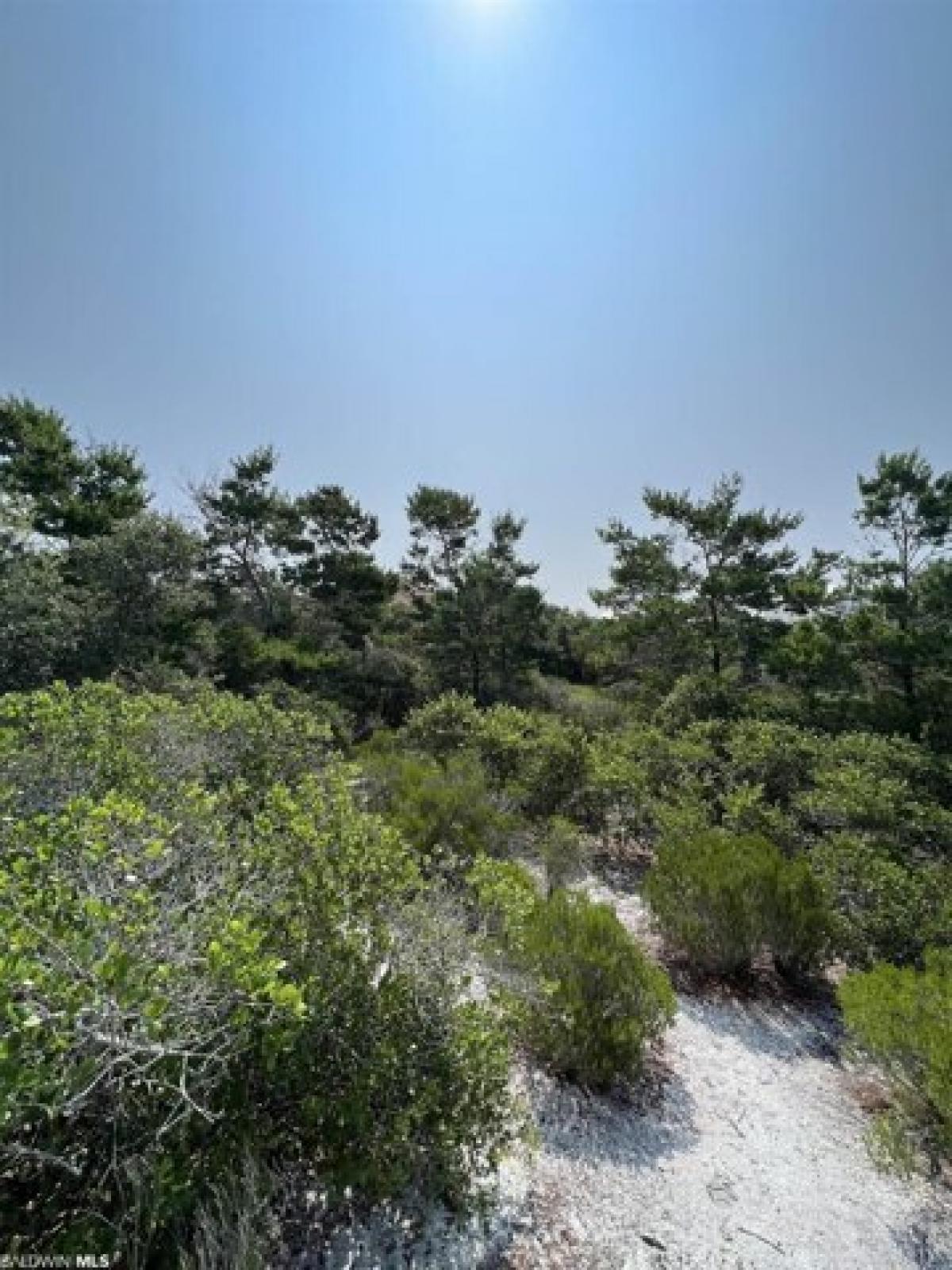 Picture of Residential Land For Sale in Orange Beach, Alabama, United States