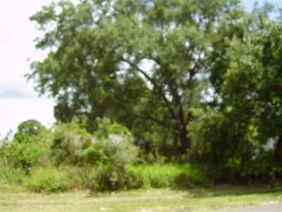 Residential Land For Sale in Kissimmee, Florida