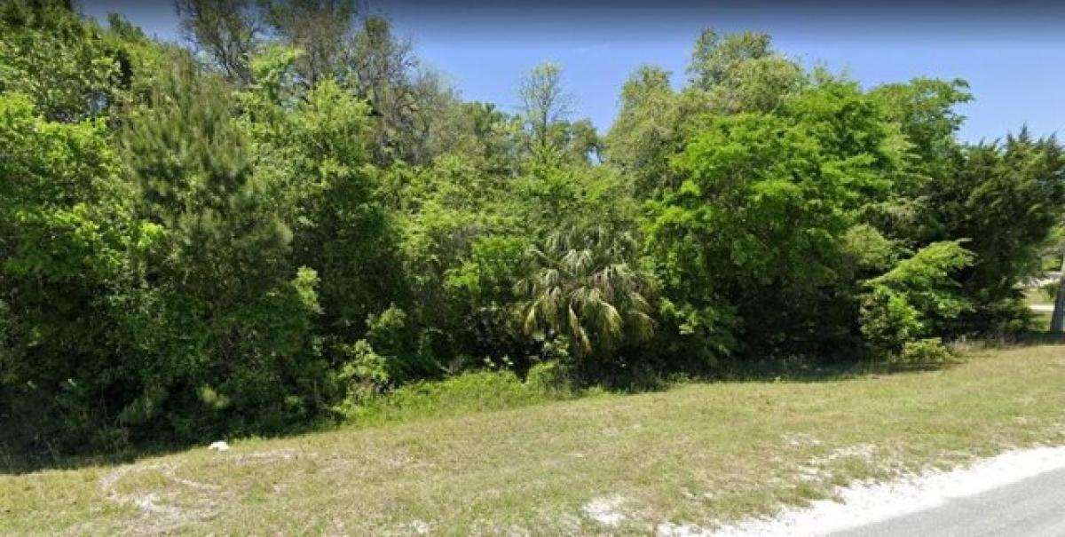 Picture of Residential Land For Sale in Old Town, Florida, United States