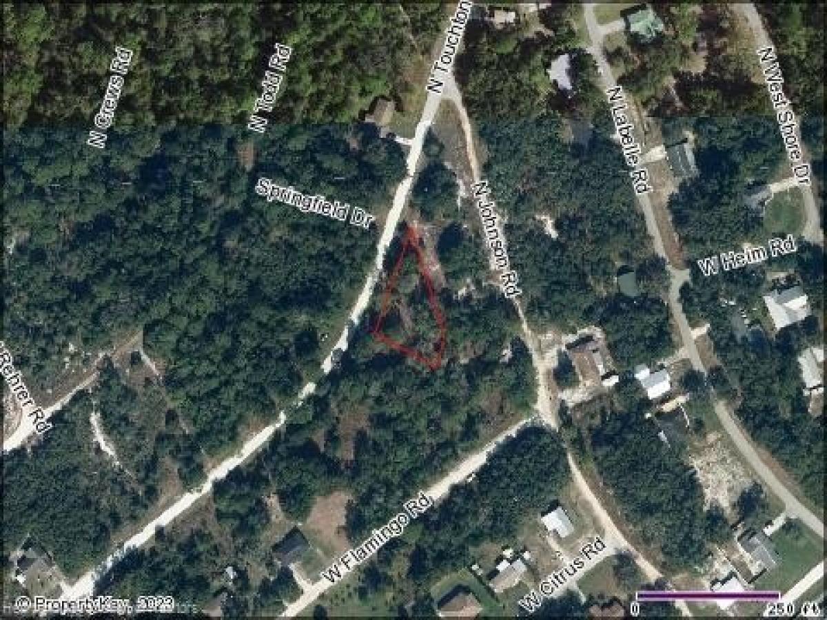 Picture of Residential Land For Sale in Avon Park, Florida, United States