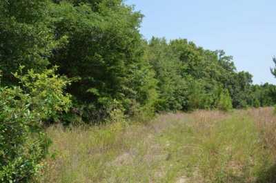 Residential Land For Sale in 