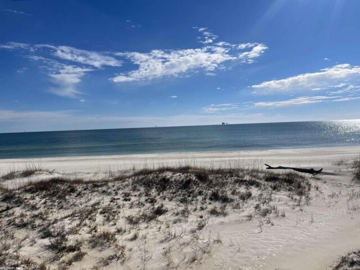 Picture of Residential Land For Sale in Gulf Shores, Alabama, United States