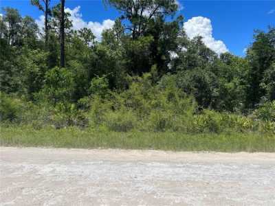 Residential Land For Sale in Webster, Florida