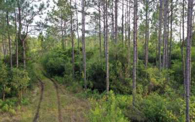 Residential Land For Sale in 