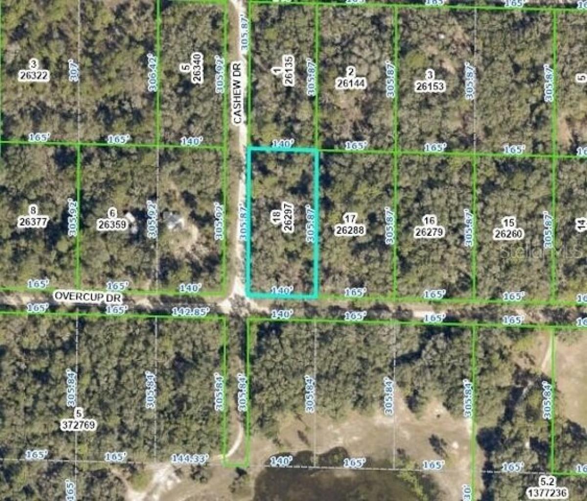 Picture of Residential Land For Sale in Webster, Florida, United States