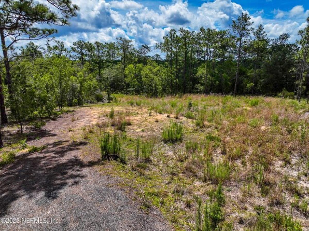 Picture of Residential Land For Sale in Hawthorne, Florida, United States