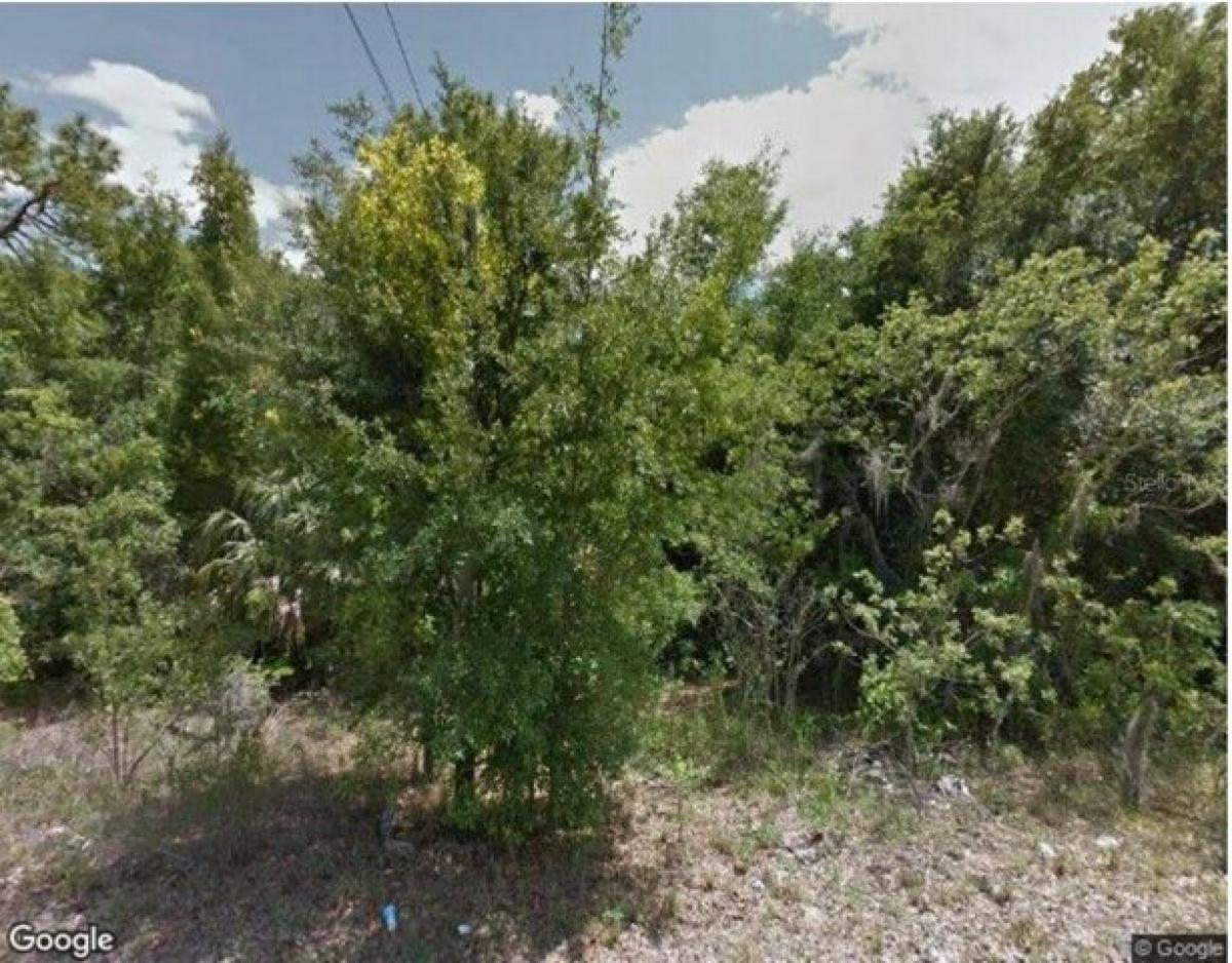 Picture of Residential Land For Sale in Inverness, Florida, United States