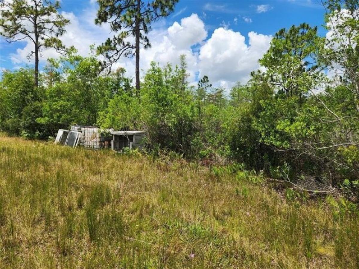 Picture of Residential Land For Sale in Saint Cloud, Florida, United States