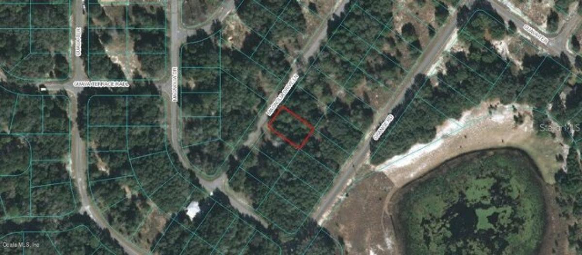 Picture of Residential Land For Sale in Ocklawaha, Florida, United States