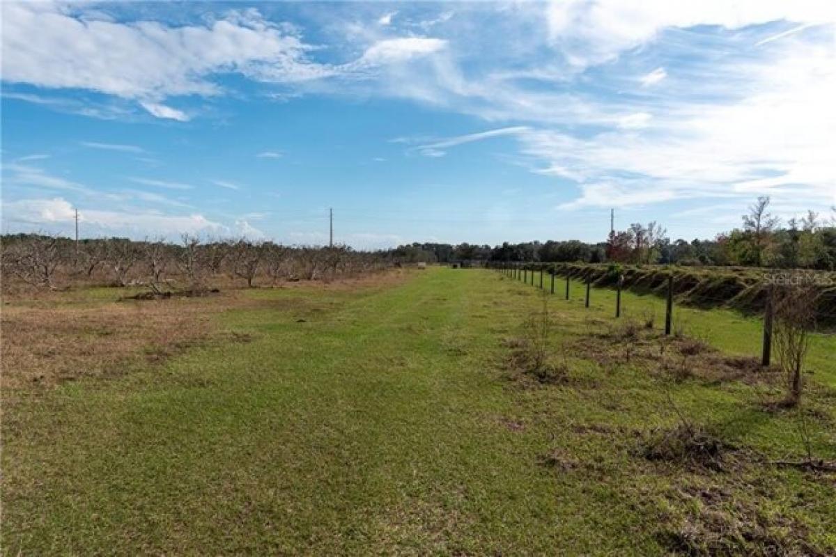 Picture of Residential Land For Sale in Saint Cloud, Florida, United States