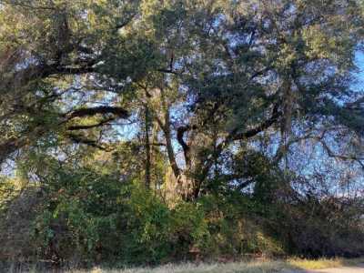 Residential Land For Sale in Cottonwood, Alabama