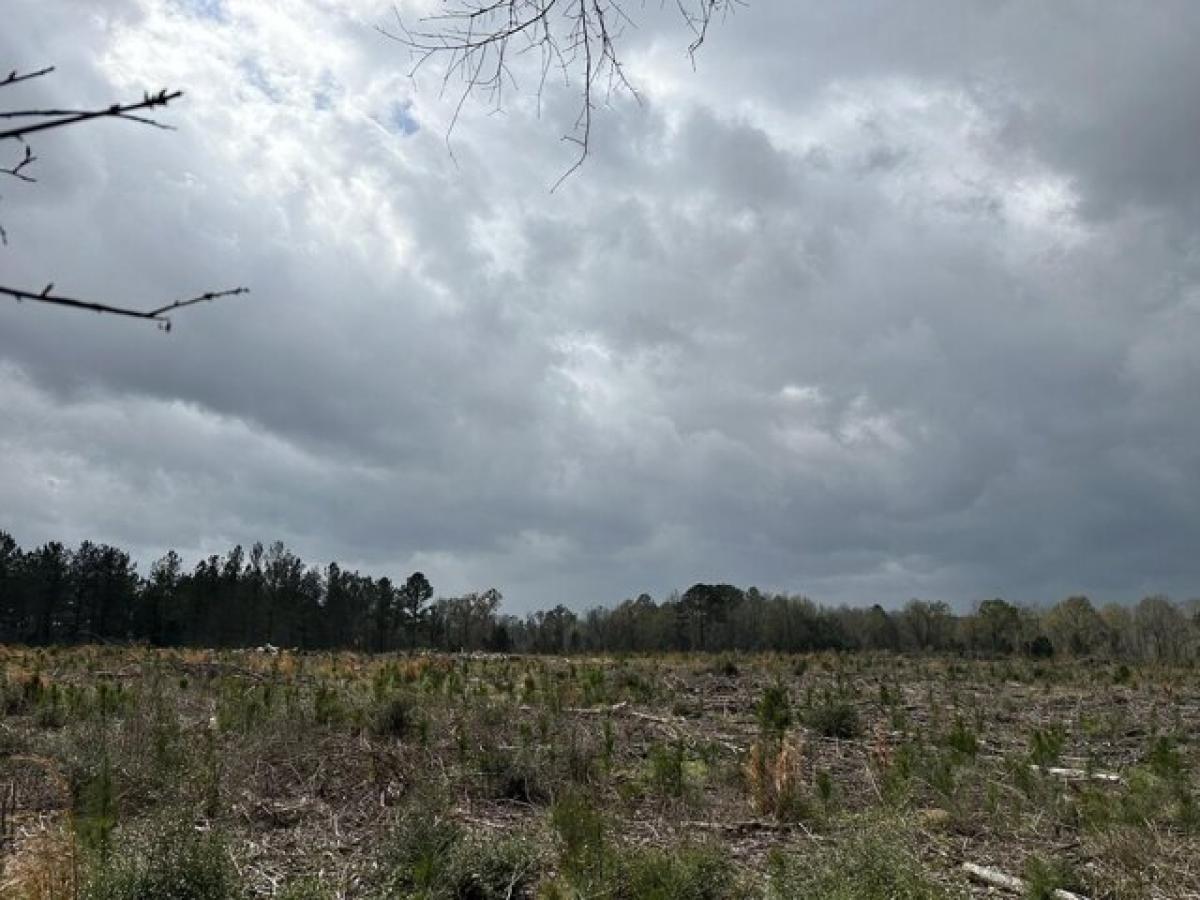 Picture of Residential Land For Sale in Defuniak Springs, Florida, United States